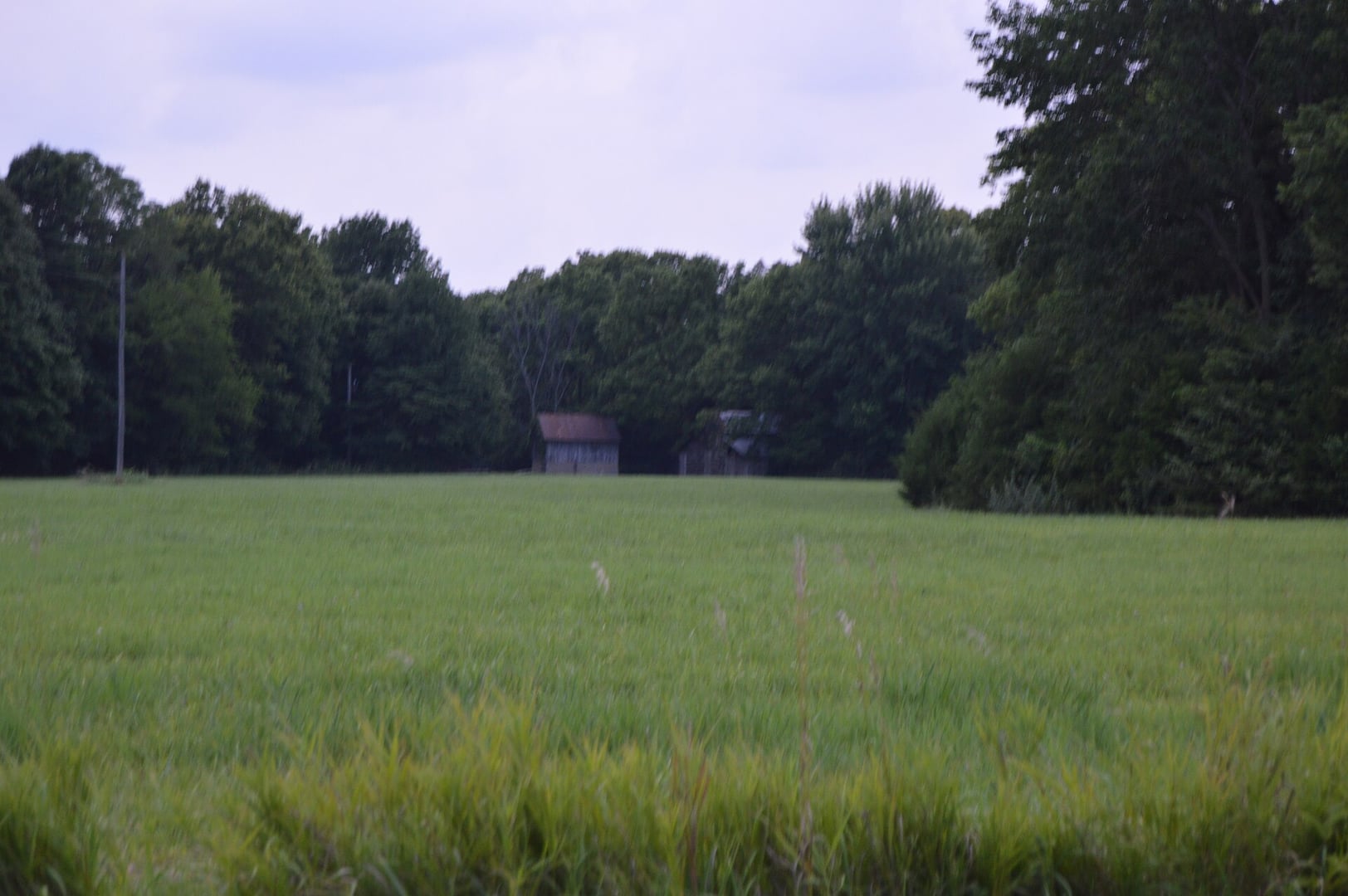 Distant view of the 1867 Cambre House and Farm saltbox farmhouse on its 20-acre bluff in Hancock County, Illinois, an NRHP-listed Icarian-era property