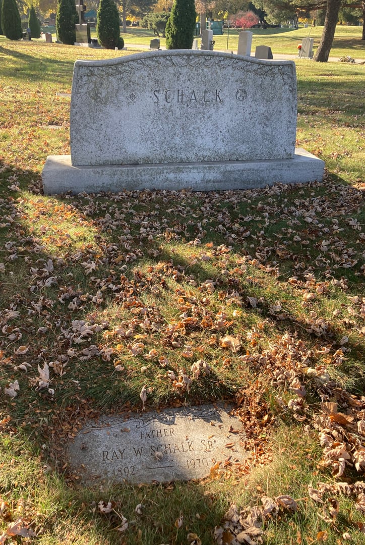 Mature trees and lawn sections at Evergreen Cemetery in Evergreen Park, Illinois