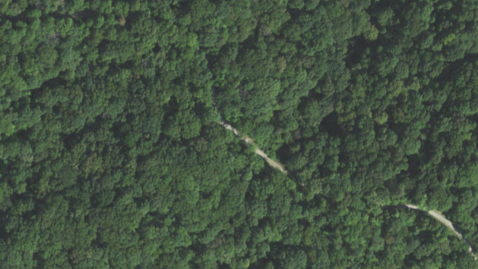 Aerial survey view of Grapevine Trail (Dead Man's Curve)