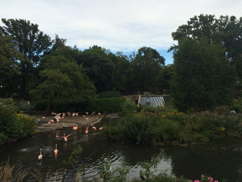 Photo of Lincoln Park Zoo (Haunted History)