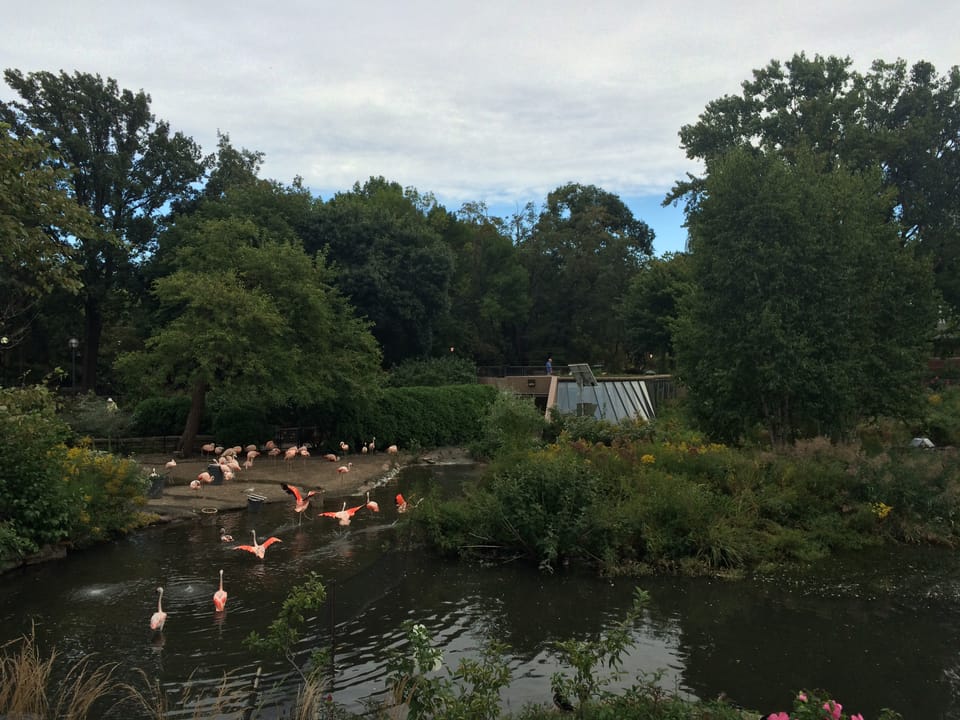 Photo of Lincoln Park Zoo (Haunted History)