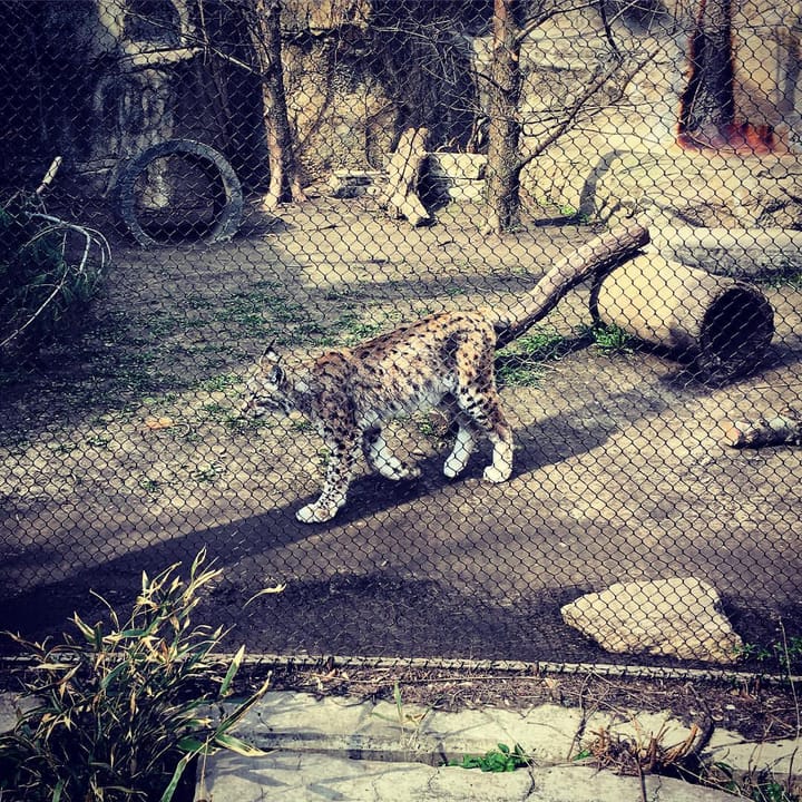 Photo of Lincoln Park Zoo Haunted History Tour