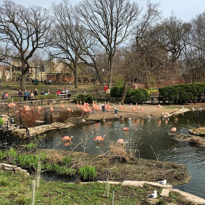 Photo of Lincoln Park Zoo Haunted History Tour