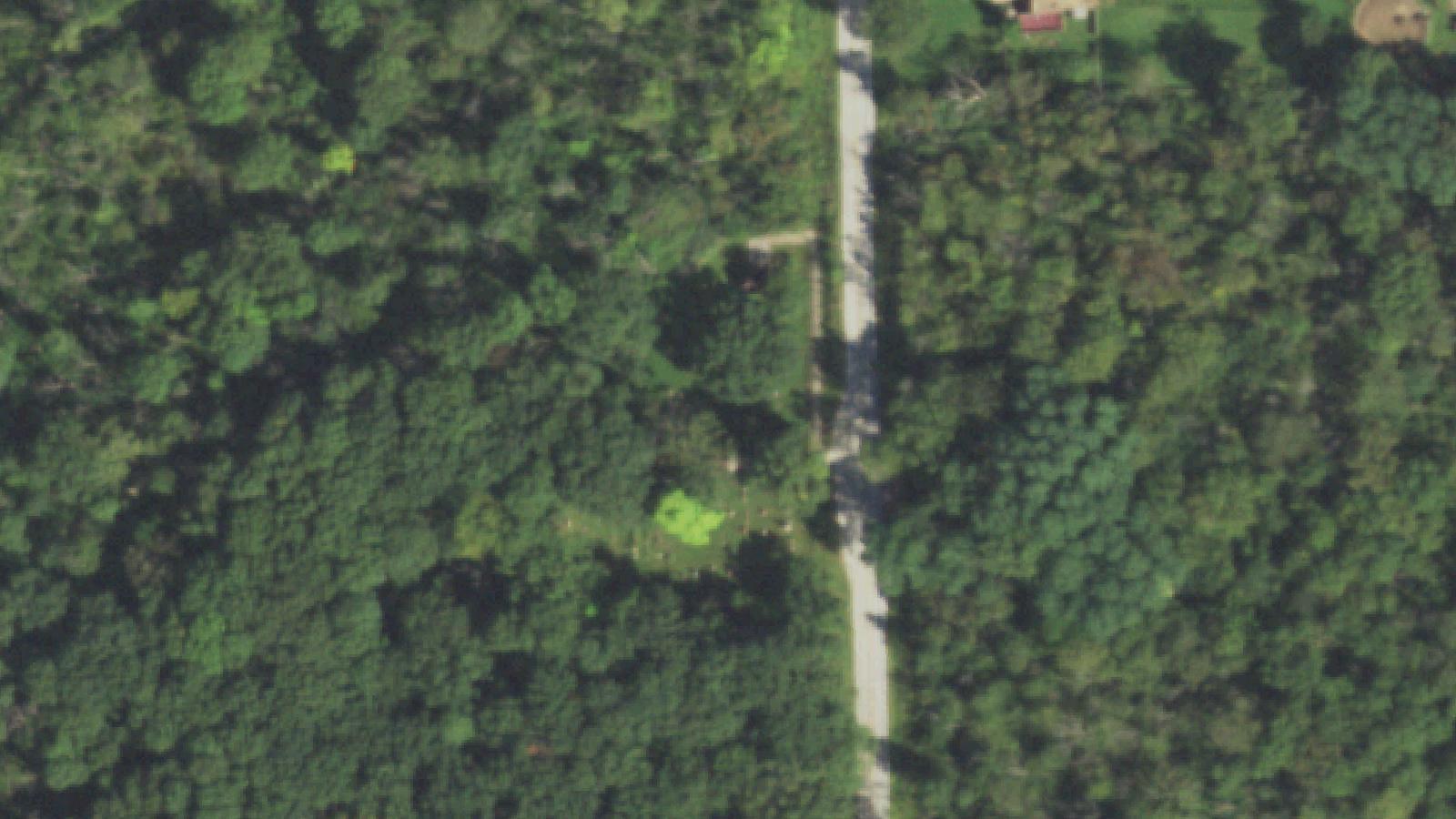 Aerial survey view of Sacred Heart Cemetery (Archer Avenue)