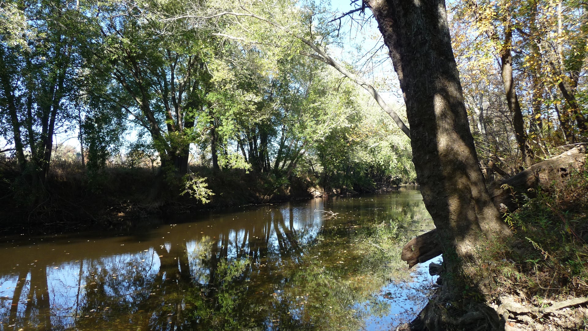 The Blue River winding through wooded Harrison County, Indiana, just south of Fredericksburg near Corydon