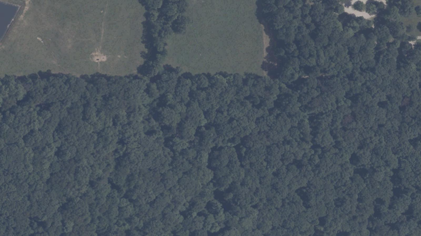 Aerial survey view of Brooks Bridge