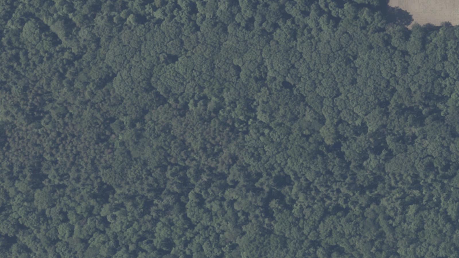 Aerial survey view of Okie Pinokie
