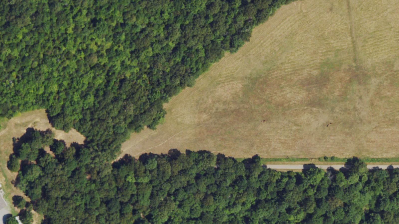 Aerial survey view of Baker Hollow Road Cemetery