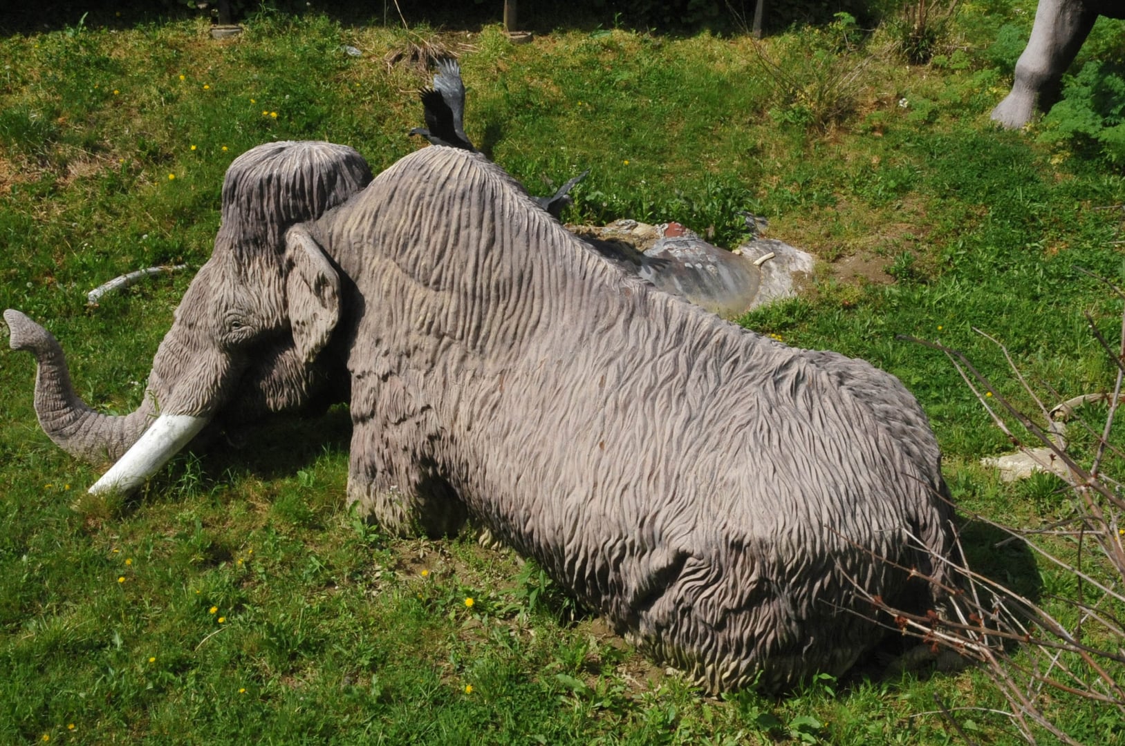 A WOOLY MAMMOTH STUCK IN THE SOFT EARTH