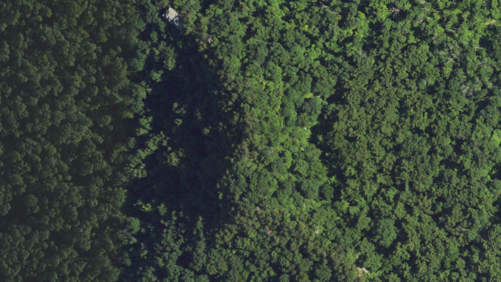 Aerial survey view of Carrington Rock