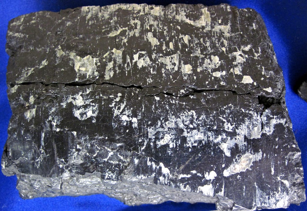 Coal with fault slickenside (SDSMT 868, South Dakota School of Mines and Technology Museum of Geology, Rapid City, South Dakota, USA)
Faults are quite common in orogenic belts.  Faults are defined as fractures in rocks along which differential displacement has occurred.  Dip-slip faults are those in