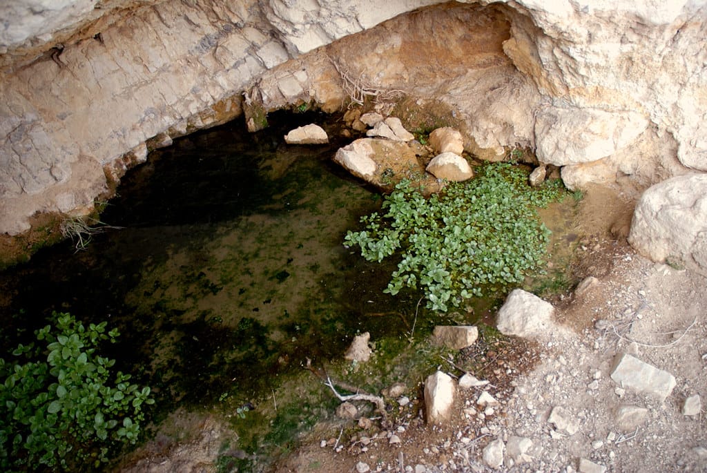 Coal Spring