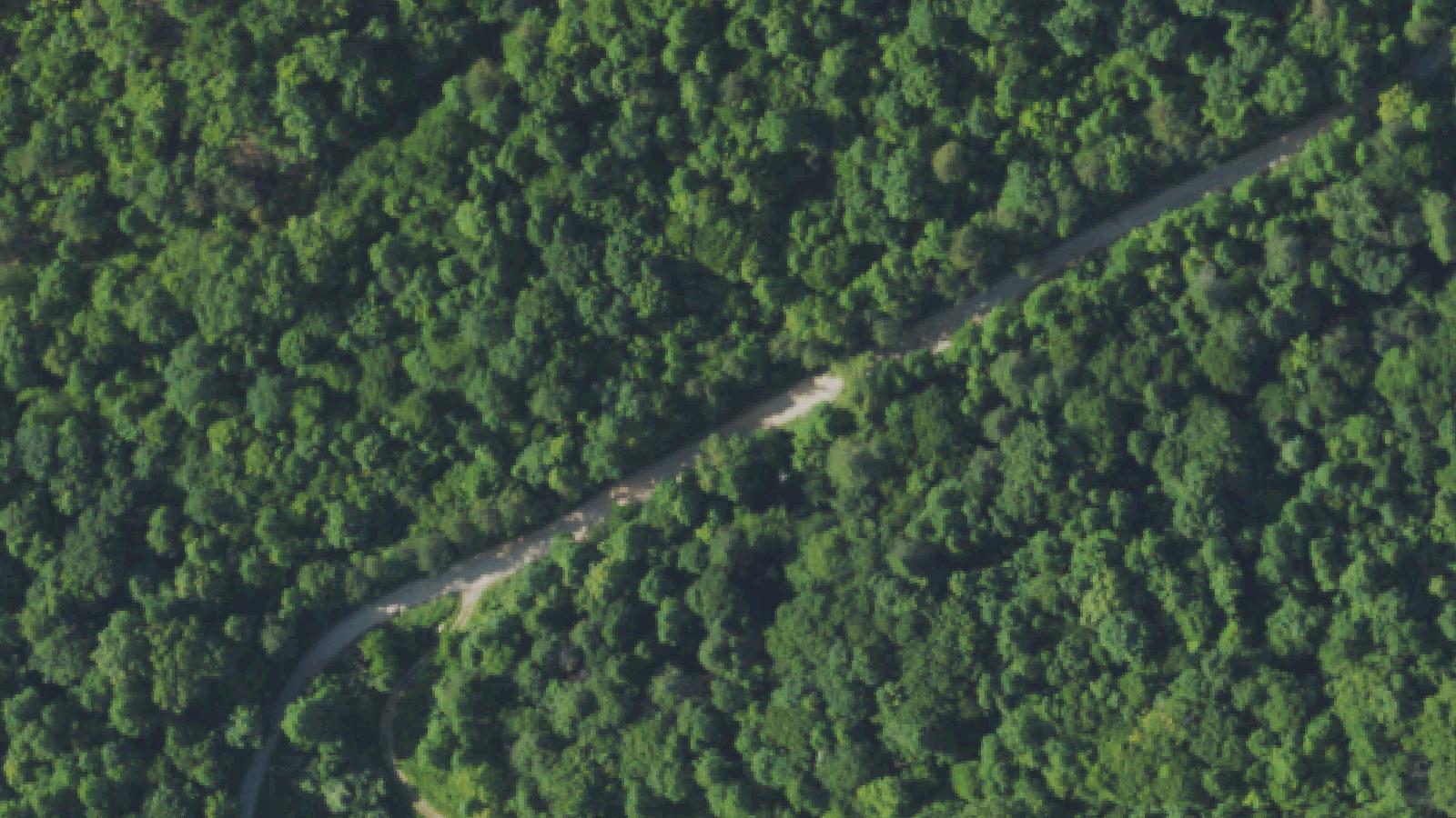 Aerial survey view of Coffin Rock at Campbell Cemetery