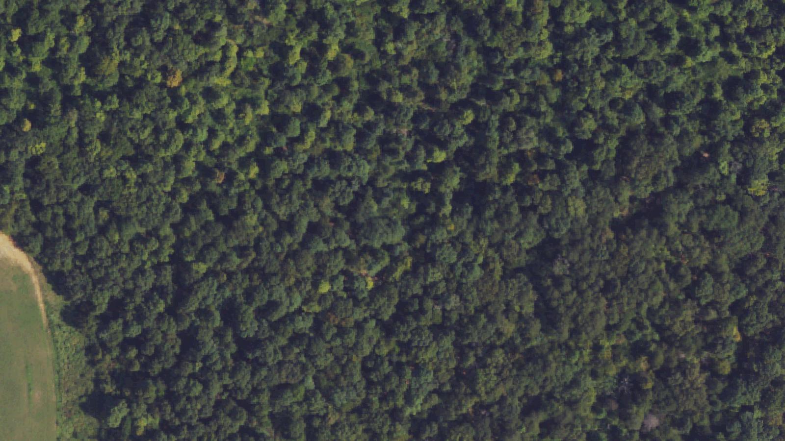 Aerial survey view of Kelly-Hopkinsville Encounter Site