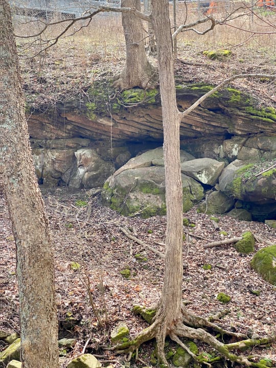 Photo of Mammoth Cave National Park