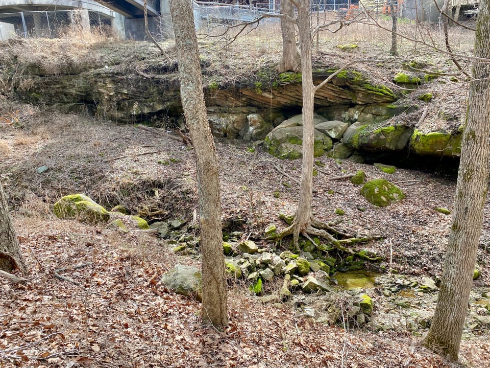 Photo of Mammoth Cave National Park