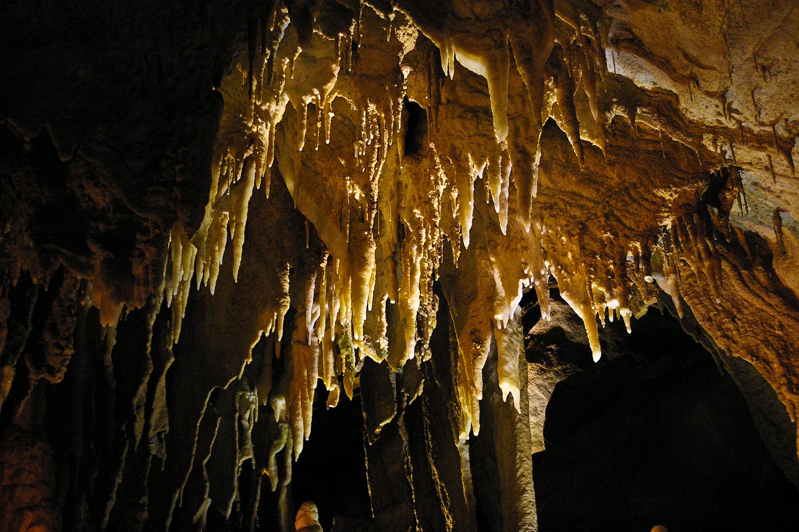 Mammoth Cave National Park scenic view in Kentucky
