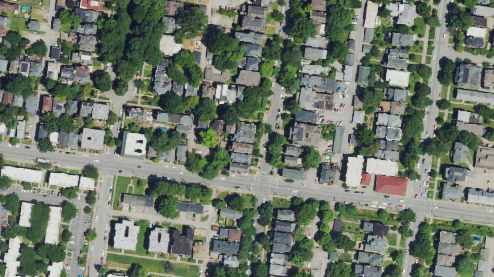 Aerial survey view of The Witches' Tree