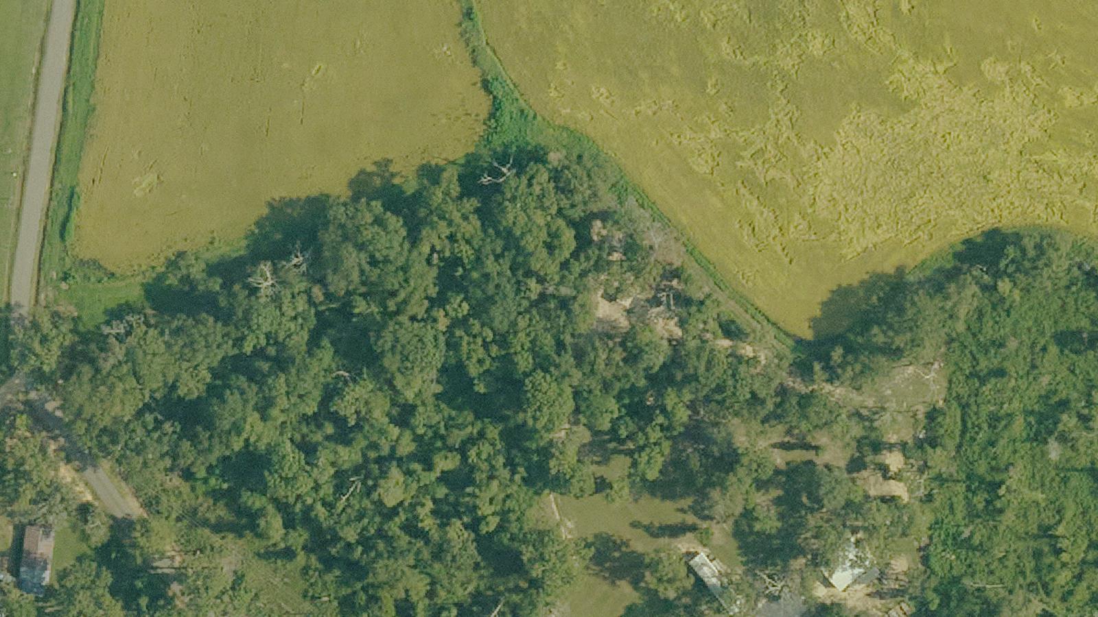 Aerial survey view of Hookmans Graveyard