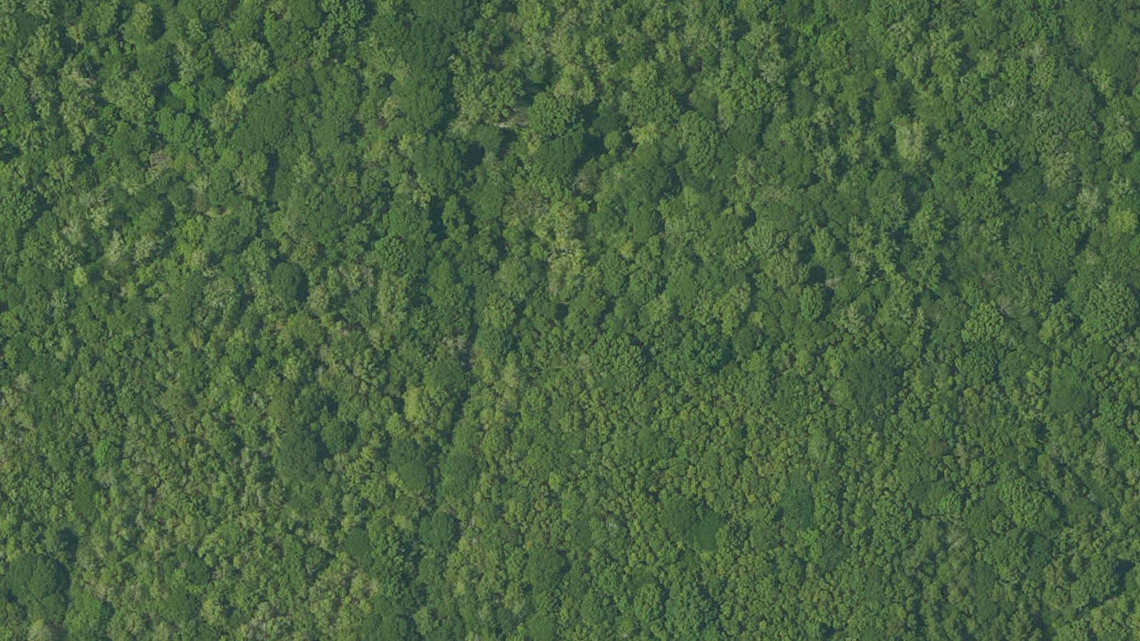 Aerial survey view of Morrisonville Ghost Town Site