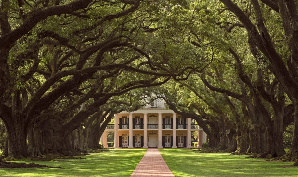 Oak Alley Plantation mansion with its famous canopy of southern live oaks in Vacherie, Louisiana