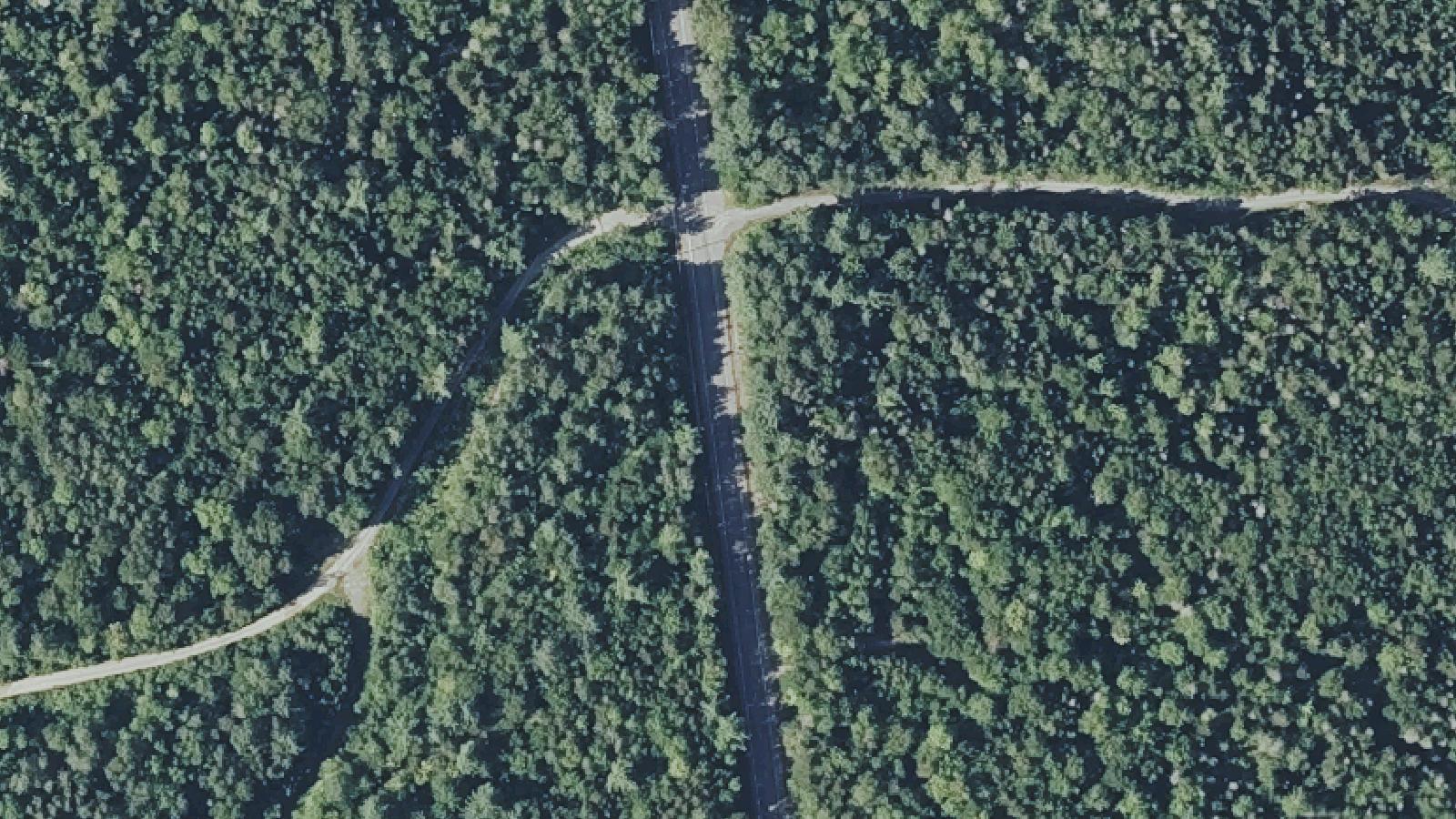 Aerial survey view of Brownville Road