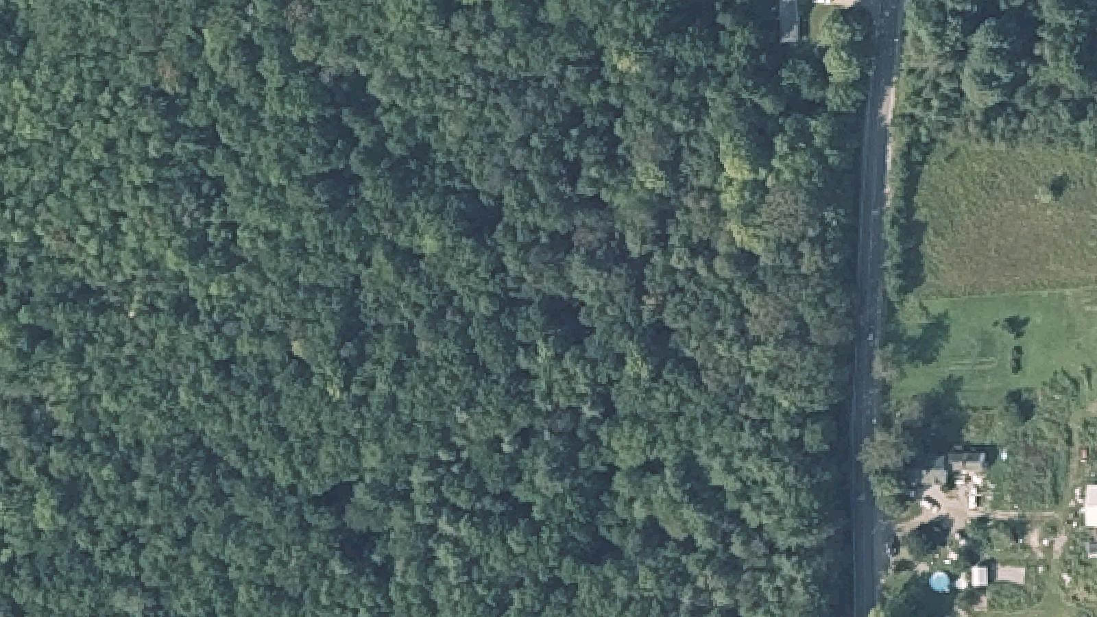 Aerial survey view of North Bowdoin Cemetery (The Witch's Grave)