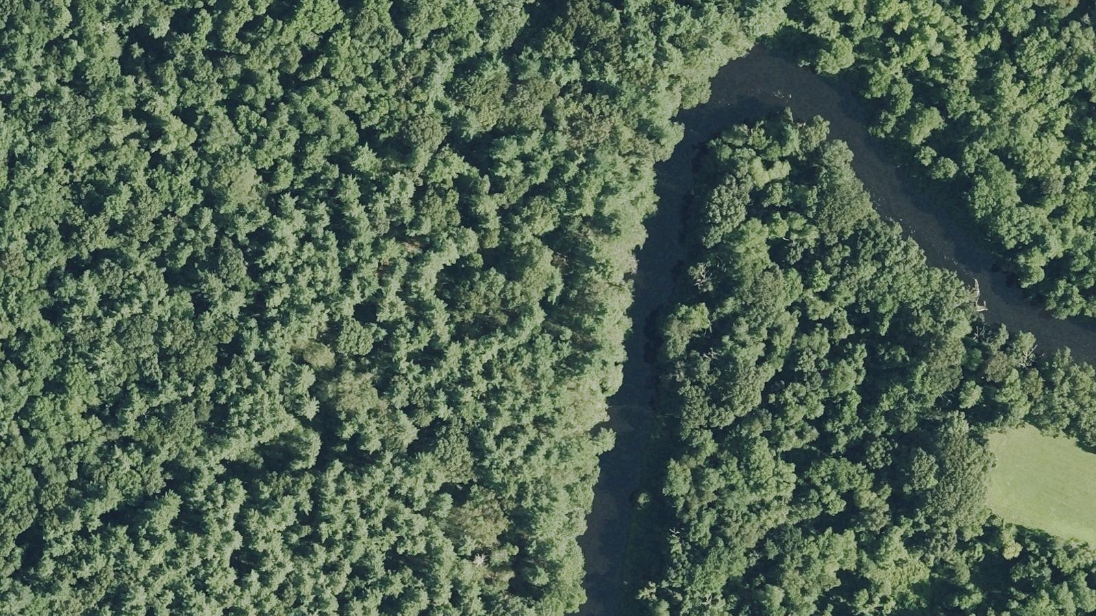 Aerial survey view of Camp Titticut