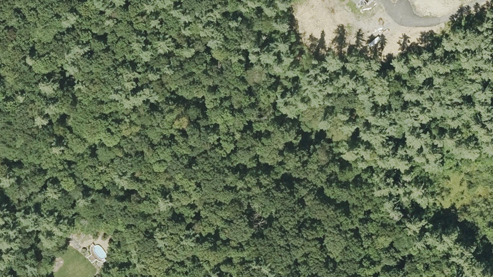Aerial survey view of Dean Hill Cemetery ("The Rev")