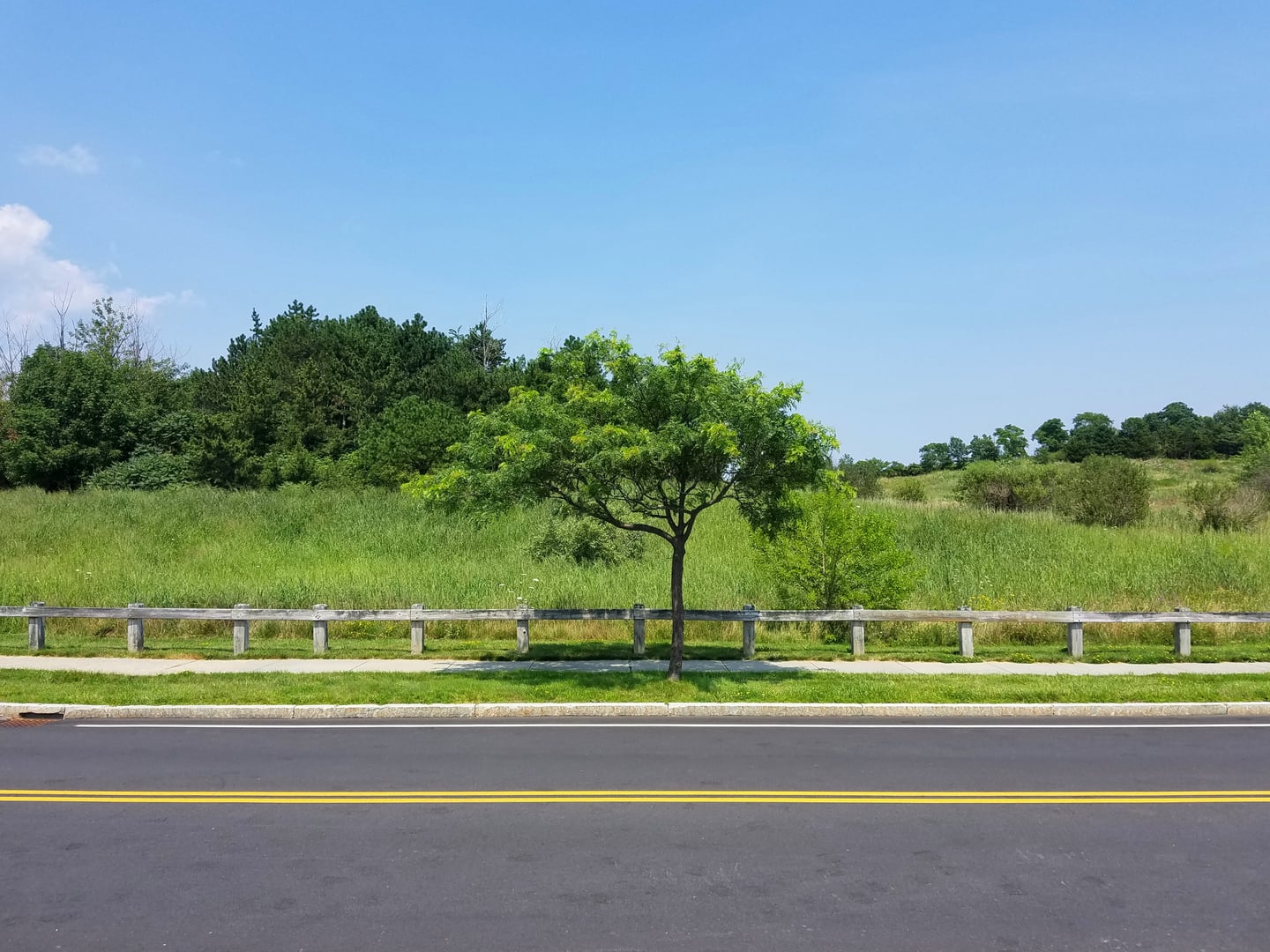 Photo of Deer Island (Praying Indian Internment Site)