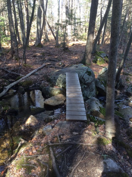 Photo of Harold Parker State Forest