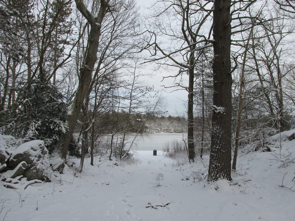 Photo of Harold Parker State Forest