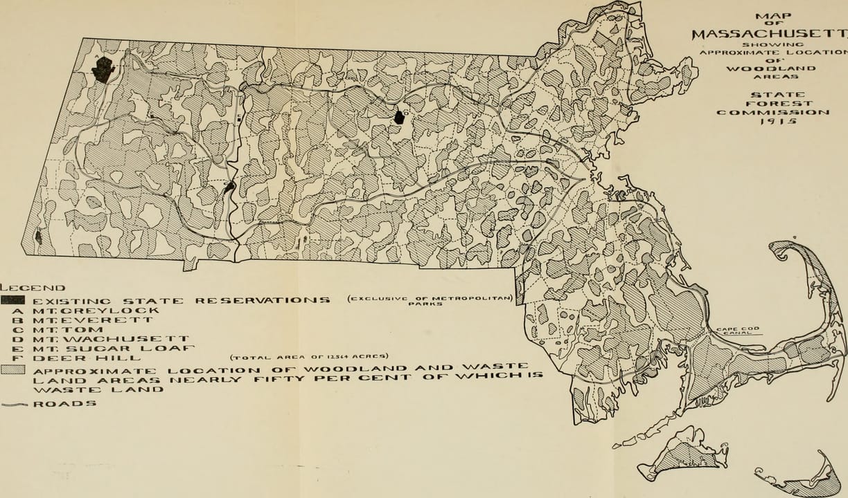 Photo of Harold Parker State Forest