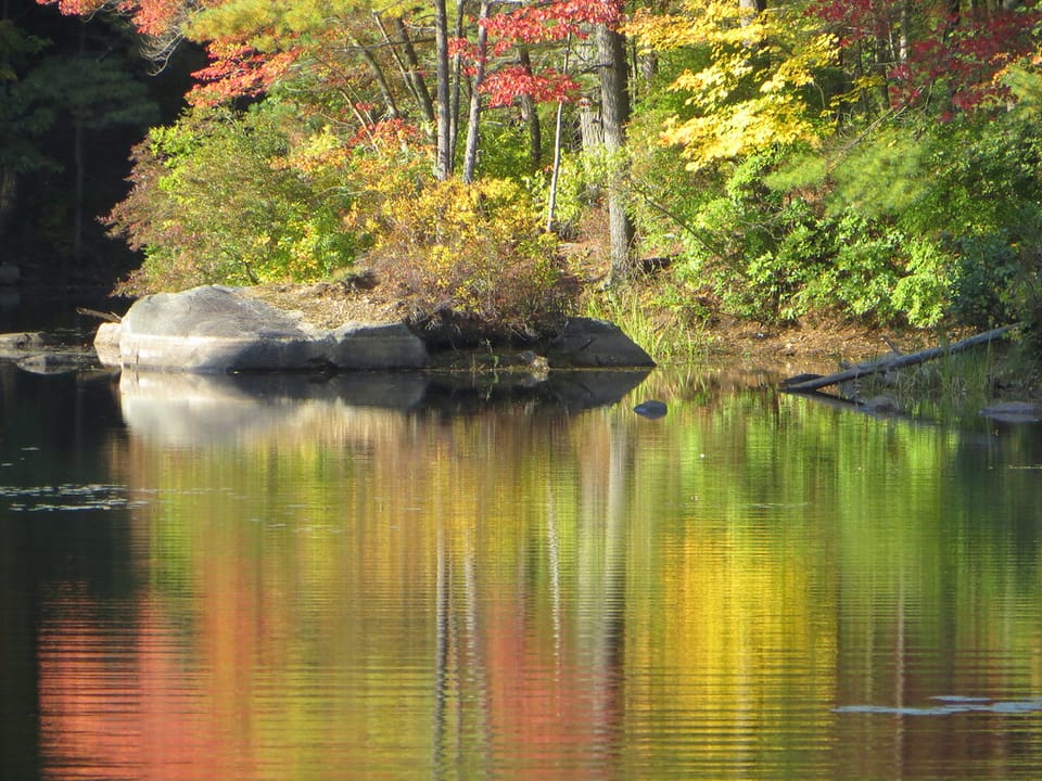 Photo of Harold Parker State Forest