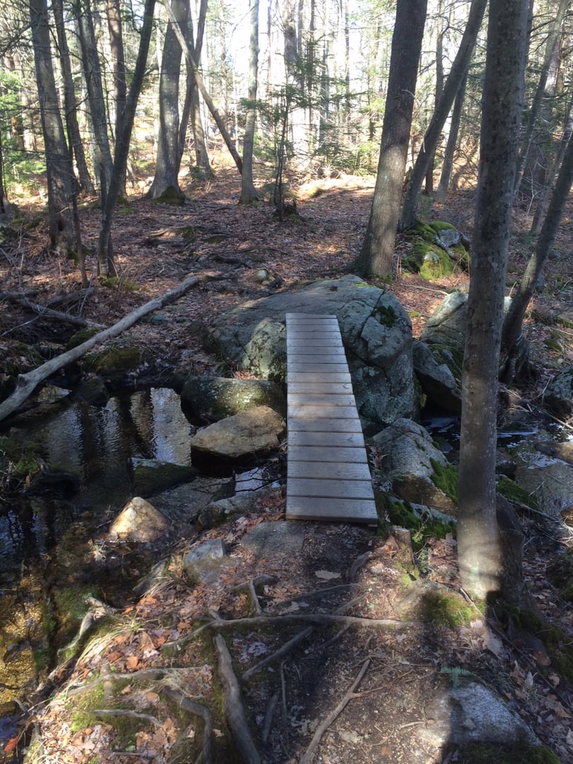 Single-track forest trail in Harold Parker State Forest, a 3,000-acre wooded preserve in Essex County, Massachusetts