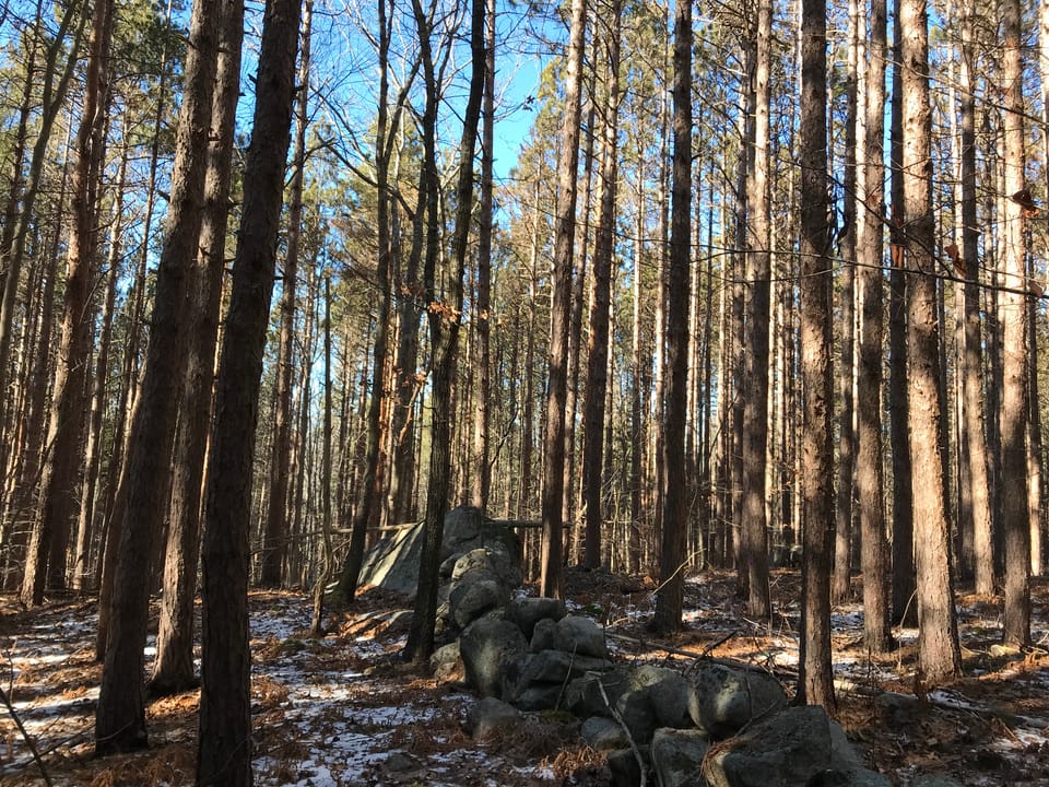 A glacial boulder carved with the word COURAGE, one of Roger Babson's Depression-era inscriptions, in the autumn woods of the abandoned Dogtown village on Cape Ann, Massachusetts