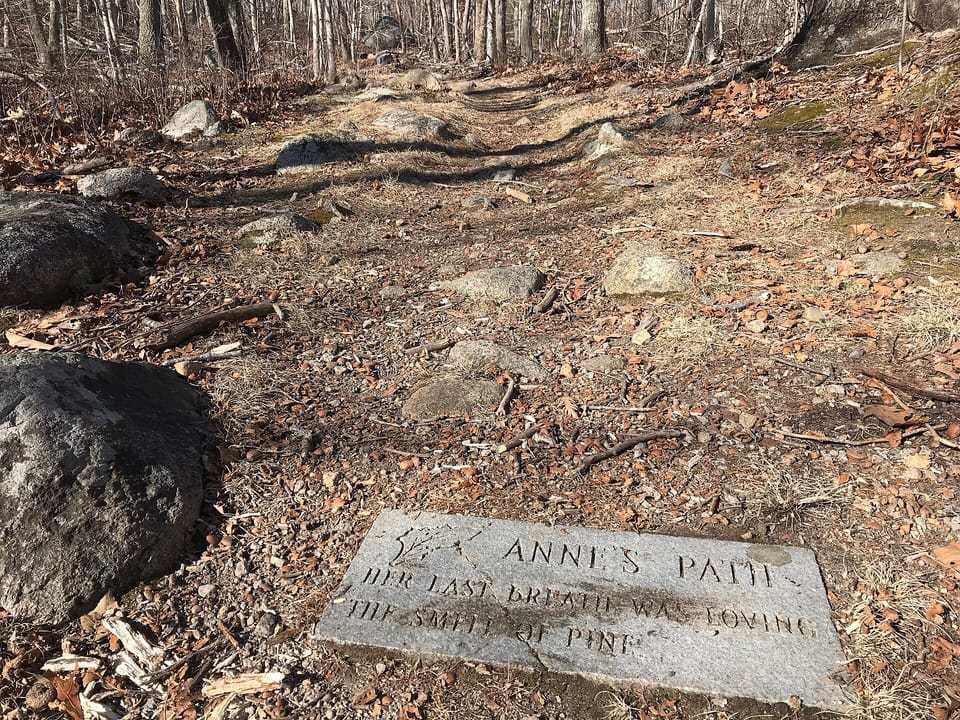 A carved stone marking 'Ye Anne's Path' along one of the historic trails through Dogtown, Cape Ann.