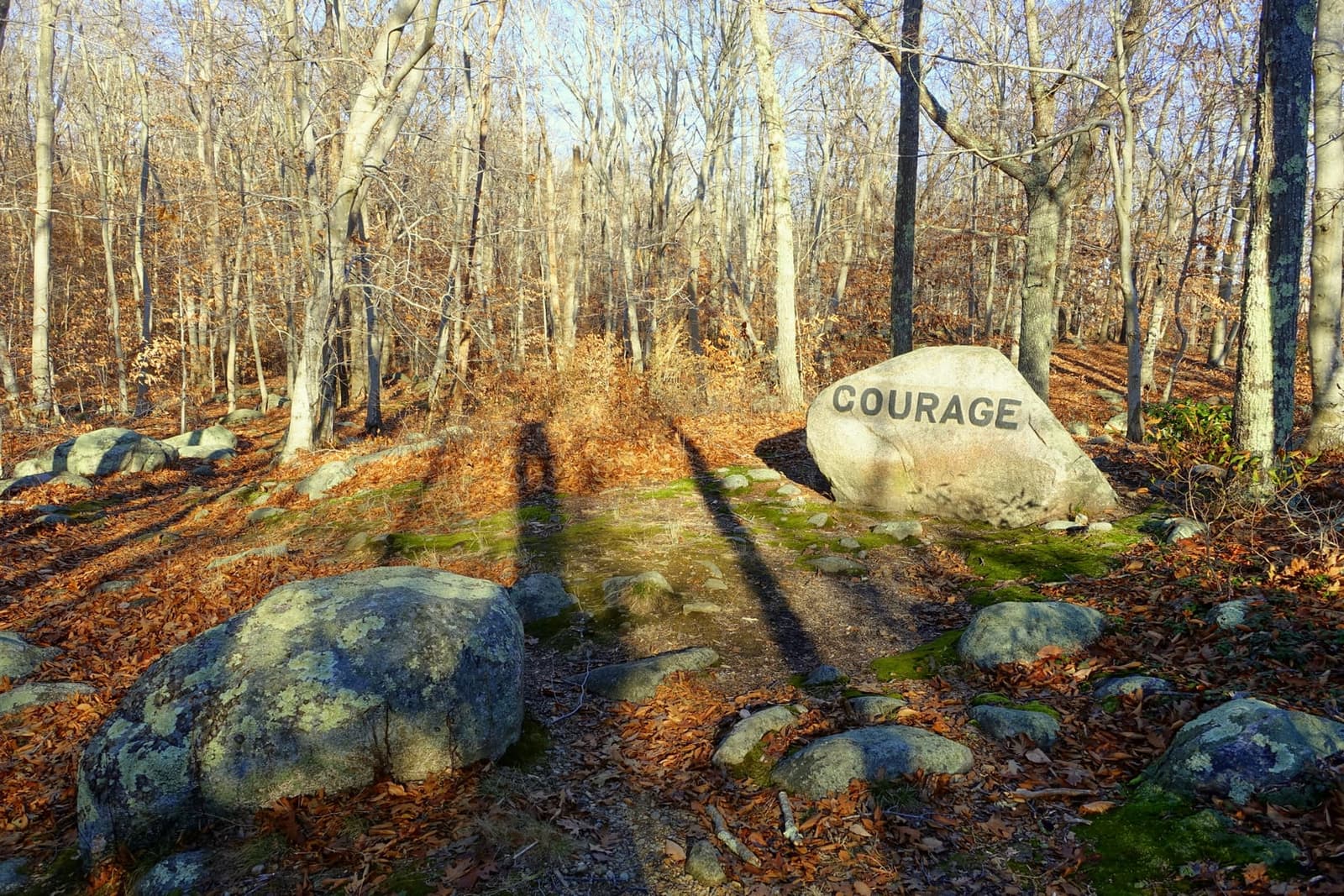 A glacial boulder carved with the word COURAGE, one of Roger Babson's Depression-era inscriptions, in the autumn woods of the abandoned Dogtown village on Cape Ann, Massachusetts