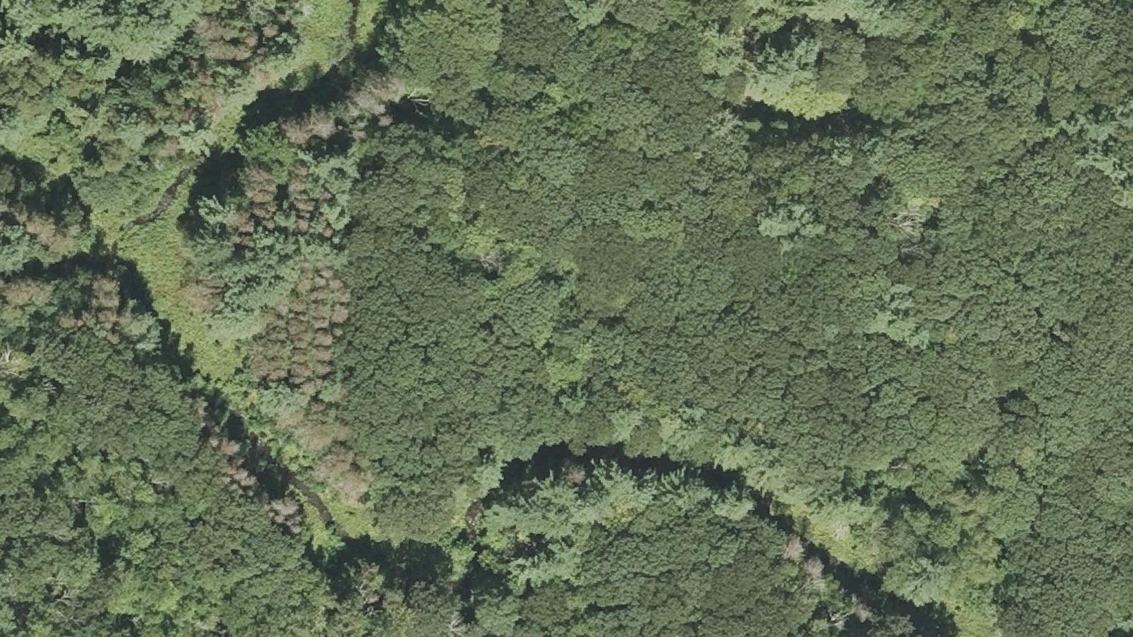 Aerial survey view of Spider Gates Cemetery (Friends/Quaker Cemetery)