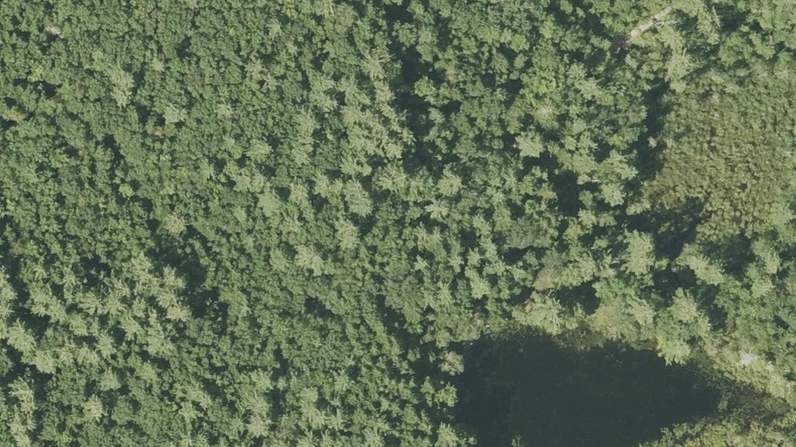 Aerial survey view of Old Royalston Center Cemetery