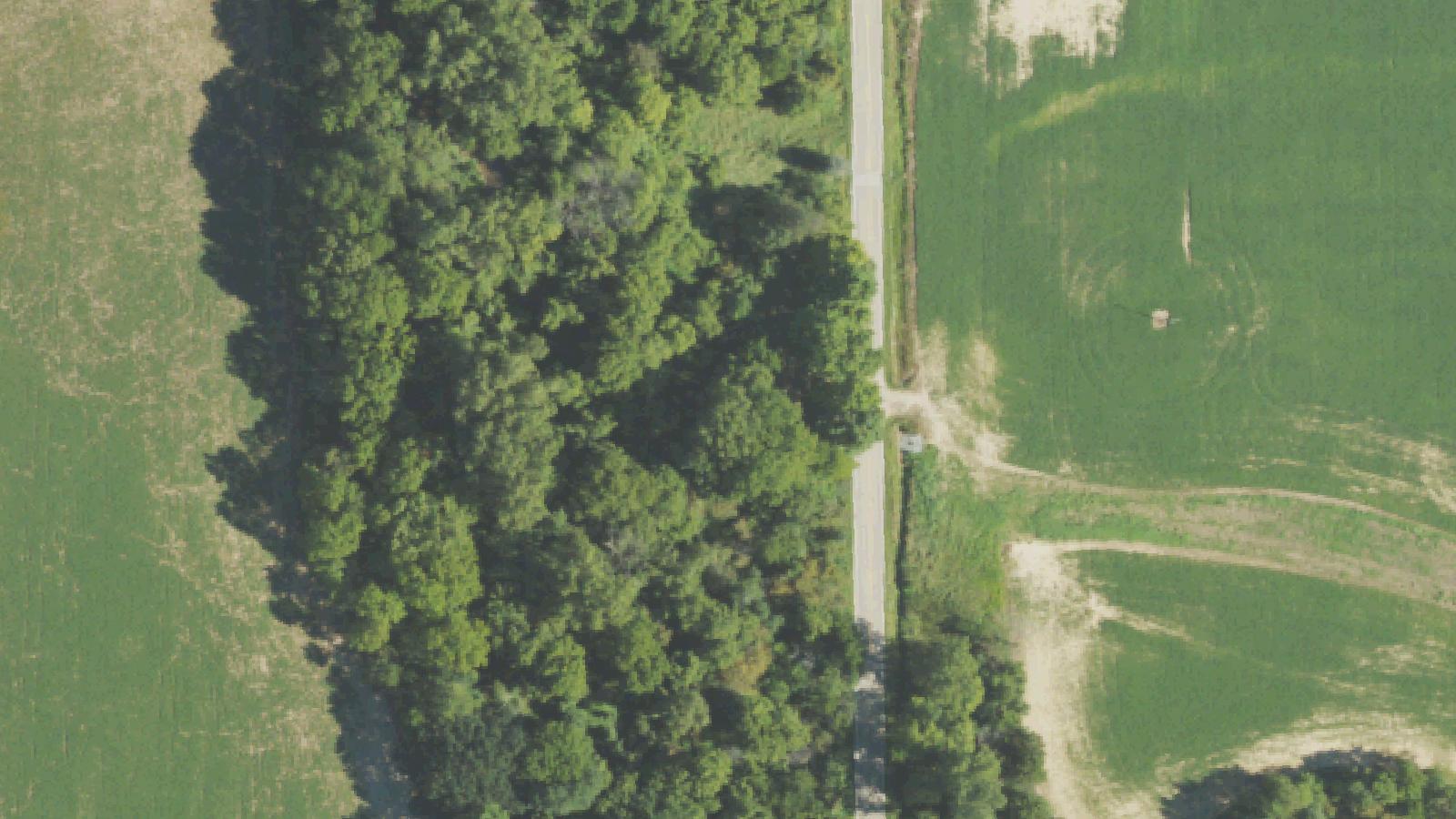 Aerial survey view of Cummin Cemetery (Juddville Cemetery)