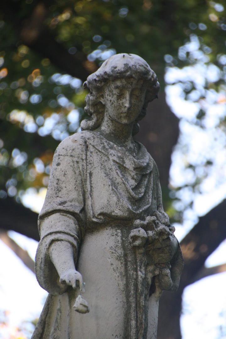 Elmwood Cemetery, Detroit — Victorian garden cemetery with rolling lawns and 19th-century monuments