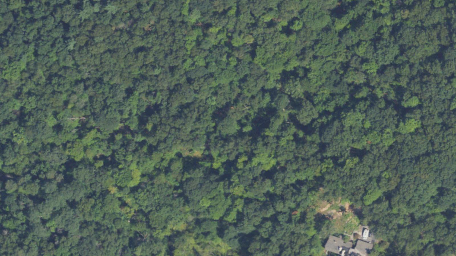 Aerial survey view of Findlay Cemetery