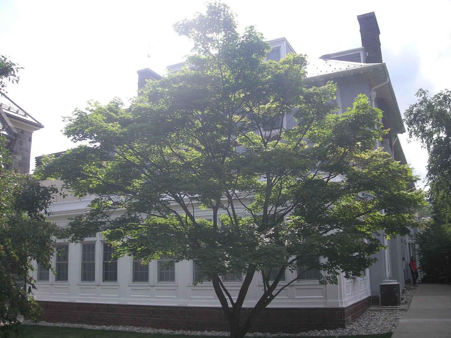 The Helen Newberry Residence at 432 South State Street on the University of Michigan central campus in Ann Arbor, a 1915 Kahn and Wilby residence hall for women