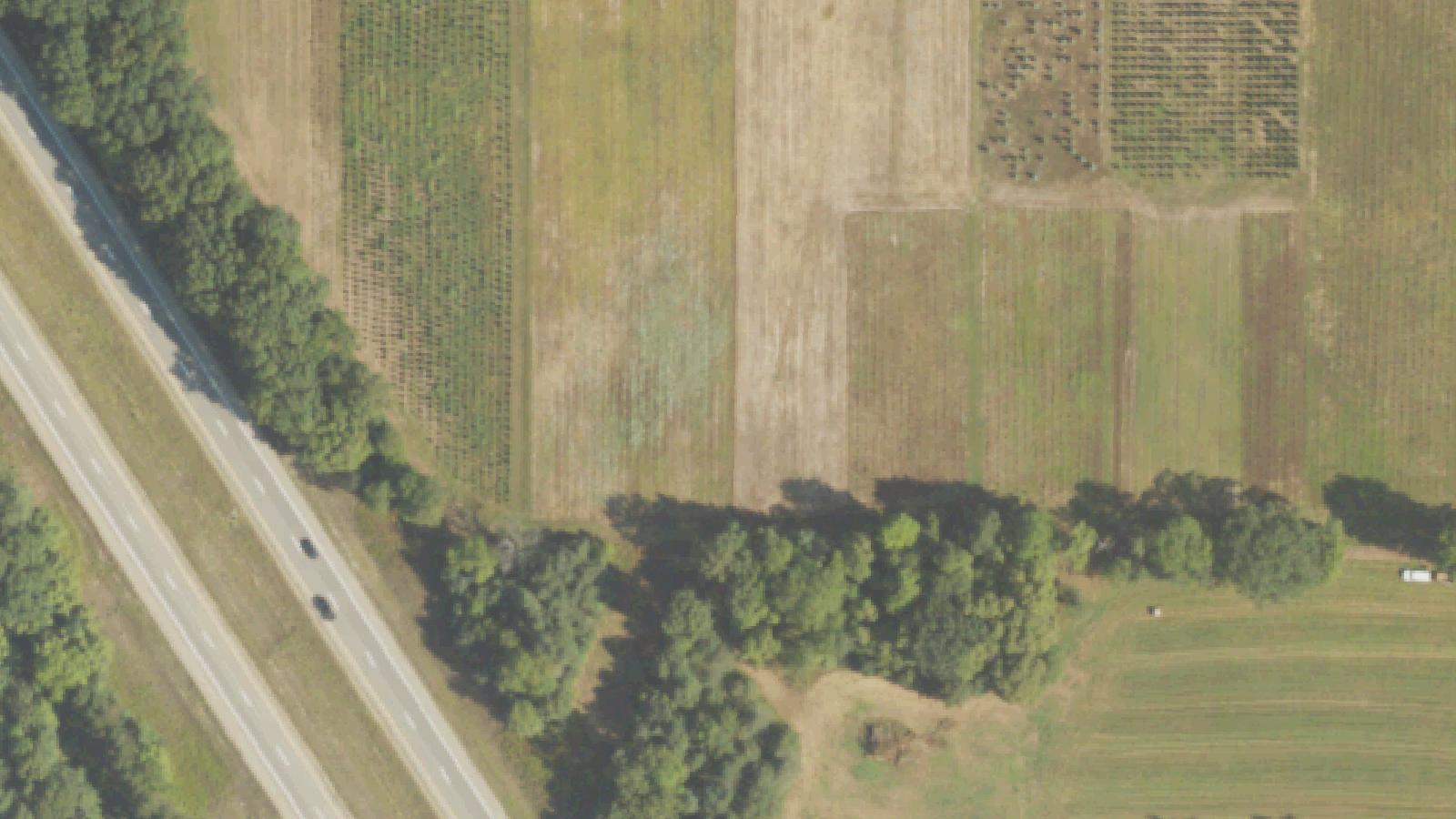 Aerial survey view of Nunica Cemetery