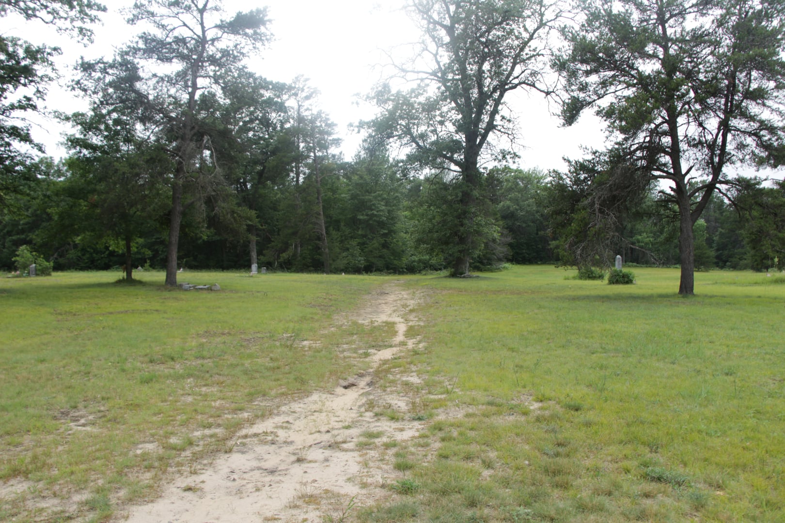 Wooded landscape of historic Pere Cheney Cemetery near Roscommon, Michigan, with scattered weathered headstones