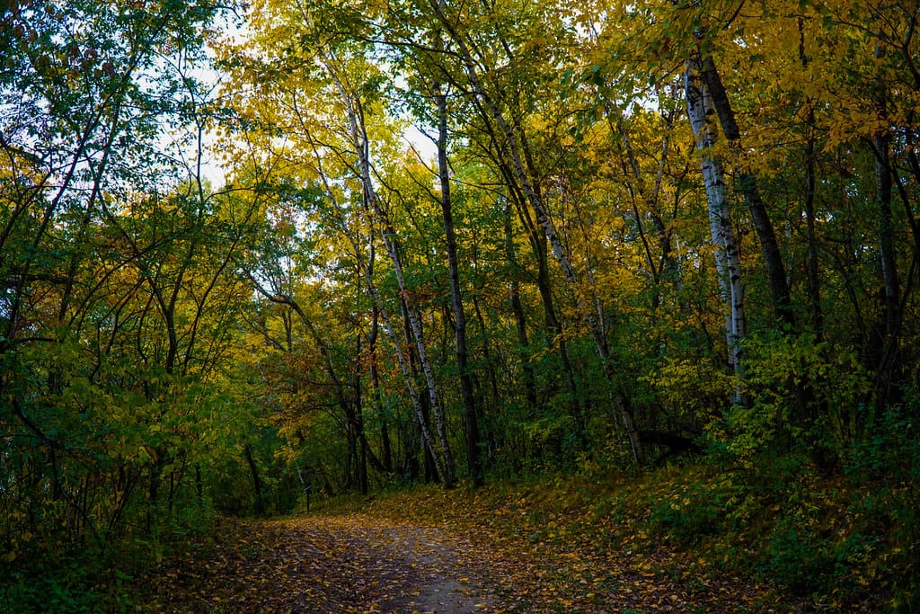 Apple Valley MN