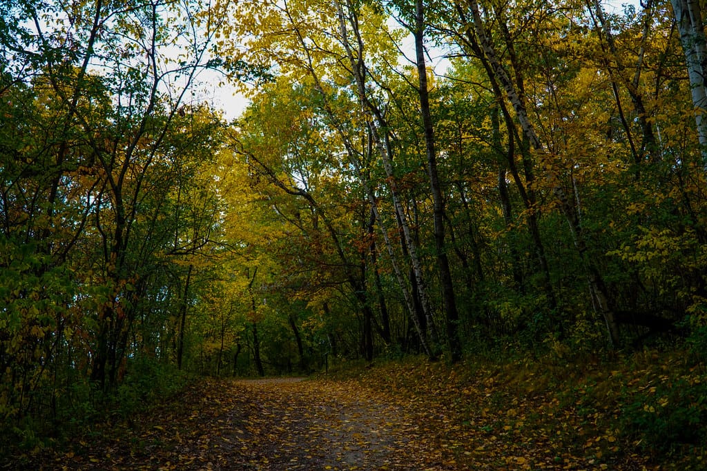 Apple Valley MN