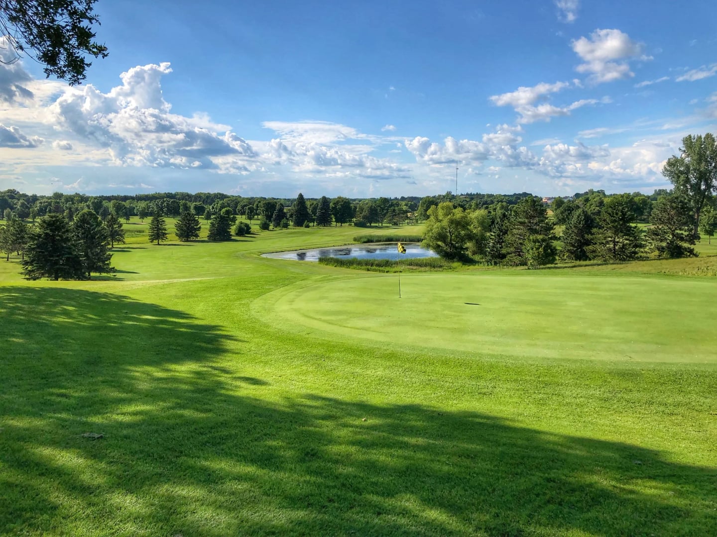 Montgomery National Golf Club in Montgomery Minnesota with fairways surrounding the cottonwood tree near the first hole marking the pioneer farmer's gravesite