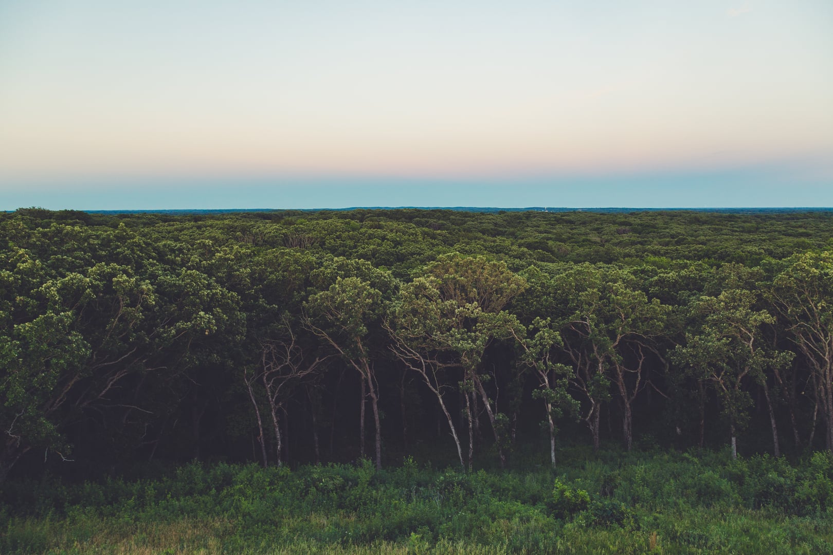 Sunset view from atop Mount Tom at Sibley State Park near New London, Minnesota, showing the wooded glacial moraine landscape of the Leaf Hills.